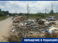 «Раковая опухоль города»: 100-метровую свалку на дороге нашли в Волгограде