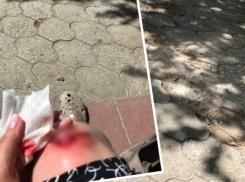 В центре Волгограда женщина получила 4 шва после падения на разбитом тротуаре