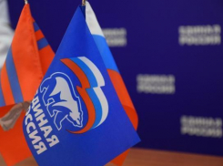 Волгоградские чиновники – единороссы начали борьбу с произволом чиновников