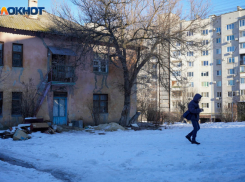 Волгоградская область попала в топ-3 юга России по вымиранию