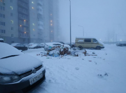 Апокалипсис сегодня: в Волгограде перестали вывозить мусор