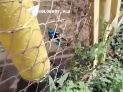 Вода сутки бьет ключом из-под котельной в Волгограде