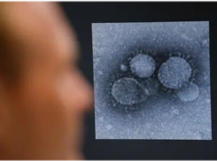 Роспотребнадзор предупредил волгоградцев о возможной эпидемии коронавируса