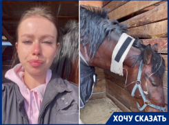 Прокрался со шприцем: неизвестный устроил мучительную расправу над лошадьми в конюшне под Волгоградом