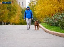 Заморозки до -5 градусов ожидаются в Волгоградской области