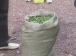 В Волгограде с мешком марихуаны задержан житель Михайловки