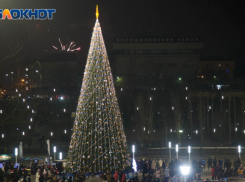 Фотограф кинул на деньги мечтавшую о новогодней фотоссесии волгоградку