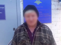Водитель грузовика с липовыми правами попал на видео под Волгоградом 