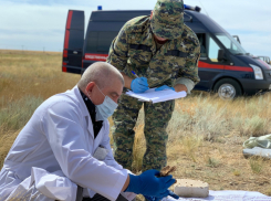 Следком начал проверку по факту гибели под Волгоградом 15-летнего подростка и мужчины 