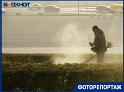 Густой туман стал предвестником резкого потепления в Волгограде