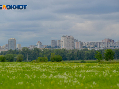 Пока держат в тайне: администрация поселка Мичуринский наказала построить здание за 8 млн рублей