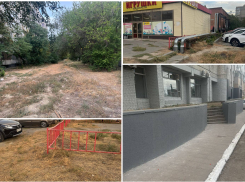 Ради выкоса двух клочков сорняков в центре в мэрии Волгограда собрали специальное совещание