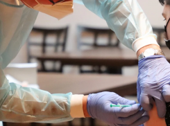 Родители волгоградских школьников массово бойкотируют прививки от гриппа