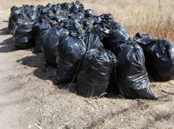 Школьники убрали за волгоградцами 629 мешков мусора