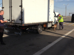 Более 7 тысяч нарушений ПДД выявили на одном волгоградском посту 