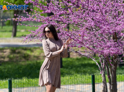 Ясная и жаркая погода порадует волгоградцев 13 мая