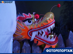 Китайский Новый год отметили с шествием дракона и огненным шоу в Волгограде