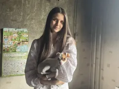 Собаку спасли из полыхающей квартиры в Волгограде 