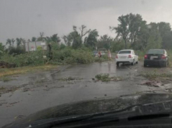 Под Волгоградом ураган завалил деревьями автодорогу