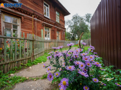 Умеренный дождь прольется над Волгоградской областью 24 октября