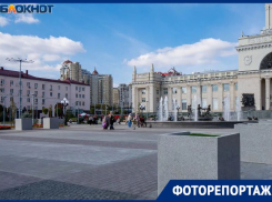 Пальмы исчезли с обновленной Привокзальной площади в Волгограде 