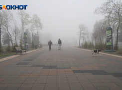 Более половины жителей Волгограда готовы переехать из города