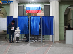 Референдум появился в повестке заседания волгоградского Избиркома 