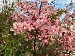 Двое волгоградцев из-за ревности обокрали и избили женщину в лесу
