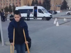 На видео попало нападение бездомных собак на детей в Городищенском районе