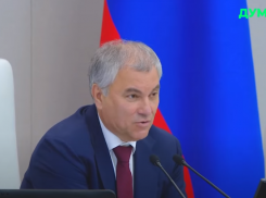 Председатель Госдумы вступился за электротранспорт Волгограда 