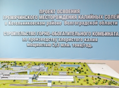 «ЕвроХим» поможет аграриям увеличить урожайность