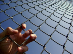 Под Волгоградом насильник и убийца 83-летней пенсионерки осужден на 20 лет