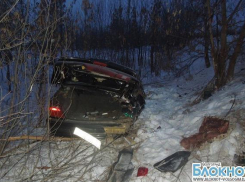 В Волгоградской области водитель улетел в кювет и врезался в дерево