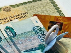 Министерство труда и соцзащиты РФ проверит Минфин Волгоградской области