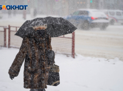 МЧС предупредило волгоградцев о сильном ветре и метели