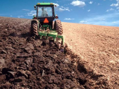 В Волгоградской области сокращаются сельскохозяйственные земли