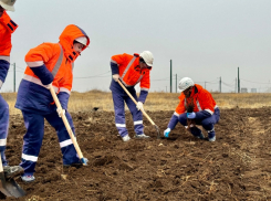 Зелёный щит ЕвроХим-ВолгаКалия: сотрудники Гремячинского ГОКа высаживают саженцы вяза 