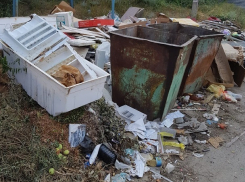  Жители «Новостройки»  тонут в горе мусора на севере Волгограда