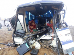 За попавшими в ДТП более 50 иностранцами отправили резервный автобус в Волгоградской области