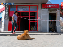 Новый умерший: Волгоградская область на 17 месте коронавирусного рейтинга регионов