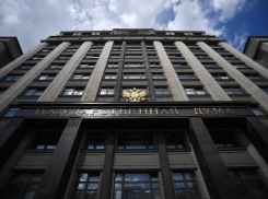 Стало известно, какую зарплату каждый месяц получают волгоградские депутаты Госдумы