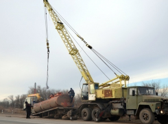 Экологи из Волжского обратились в прокуратуру с жалобой на работу спасателей