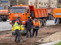 Дорогу из центра Волгограда к Мамаеву кургану спешно озеленят за 10 миллионов к Дню Победы