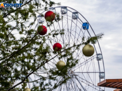 Для кого год Кролика окажется судьбоносным: астролог рассчитала даты