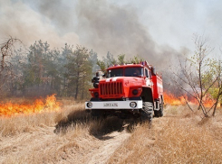 Особый противопожарный режим объявлен на всей территории Волгоградской области