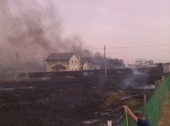Поджоги: официально названа причина охвативших Волгоградскую область пожаров