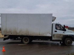 Мужчина погиб под колесами грузовика на трассе в Волгоградской области