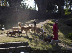 В Волгограде планируют построить первый в России Экогород