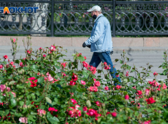 10 сентября в Волгограде будет тепло и пасмурно 