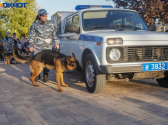 Аноним всколыхнул кинологов и полицию сообщением о заминированном доме в Волгограде 